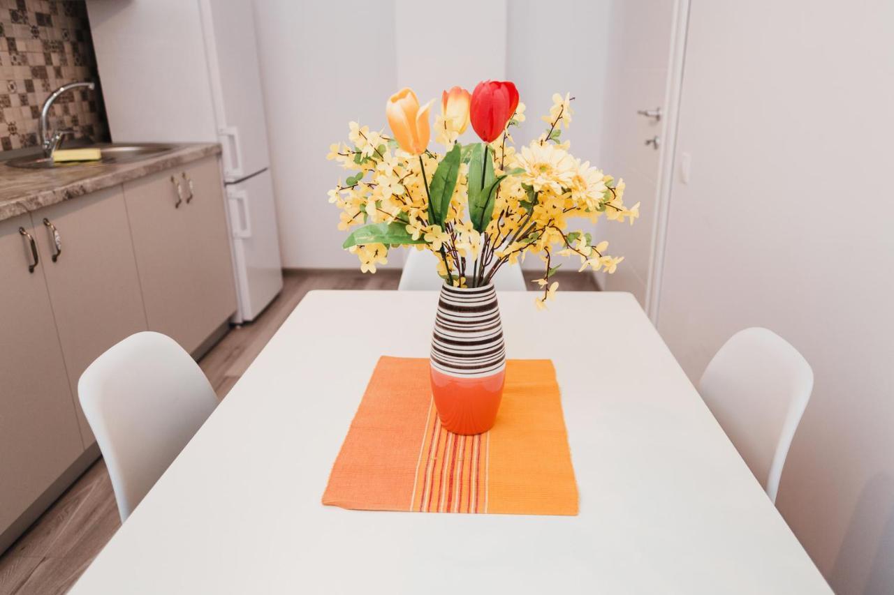 One Room Apart T3 With Free Parking クルージュ＝ナポカ エクステリア 写真